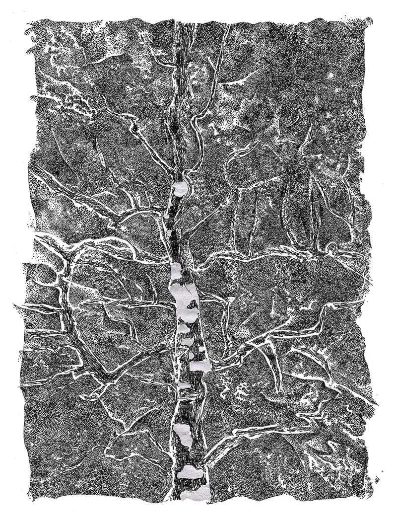 A Tree in Lengshuikeng 54 : Travel Sketch Book Art Zine Art Book Art Print image 10