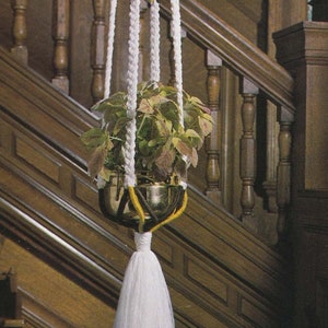 May include: A white macrame plant hanger with brown and yellow accents hangs from a ceiling in a room with a wooden staircase. A potted plant is suspended in the hanger.