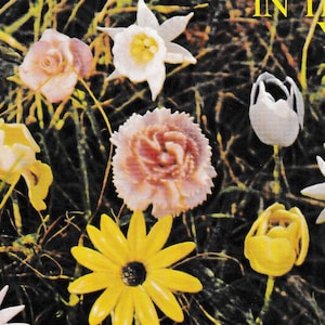 Könnte beinhalten: Draufsicht auf verschiedene handgefertigte Blumen in einer grasbewachsenen Umgebung. Die Blumen sind in Weiß-, Gelb- und Rosatönen gehalten. Der Text oben lautet "From Bread to Flowers in the Palm of Your Hand."