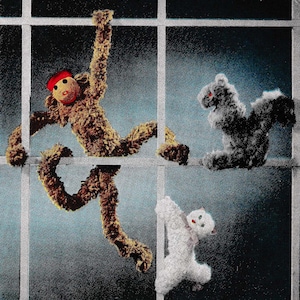 May include: Three plush toys hanging from a window frame. A brown monkey with a red hat, a gray squirrel, and a white cat.