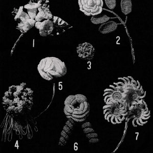 1940s Crochet Flower Patterns: Gardenia, Carnation, Daisies (Digital Pattern)