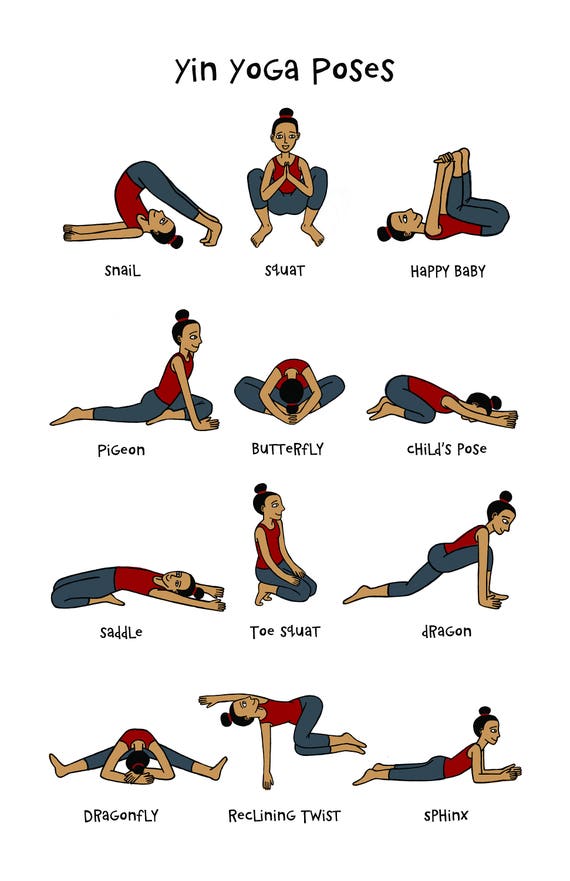yin yoga pose chart 11x17 poster etsy