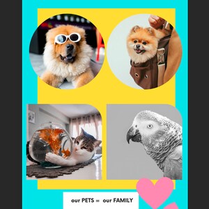 May include: A collage of four images featuring different pets. The top left image shows a brown and white dog wearing white sunglasses. The top right image shows a small orange dog in a brown carrier. The bottom left image shows a cat looking at a fish tank. The bottom right image shows a gray parrot. The text "our PETS = our FAMILY" is at the bottom of the collage.
