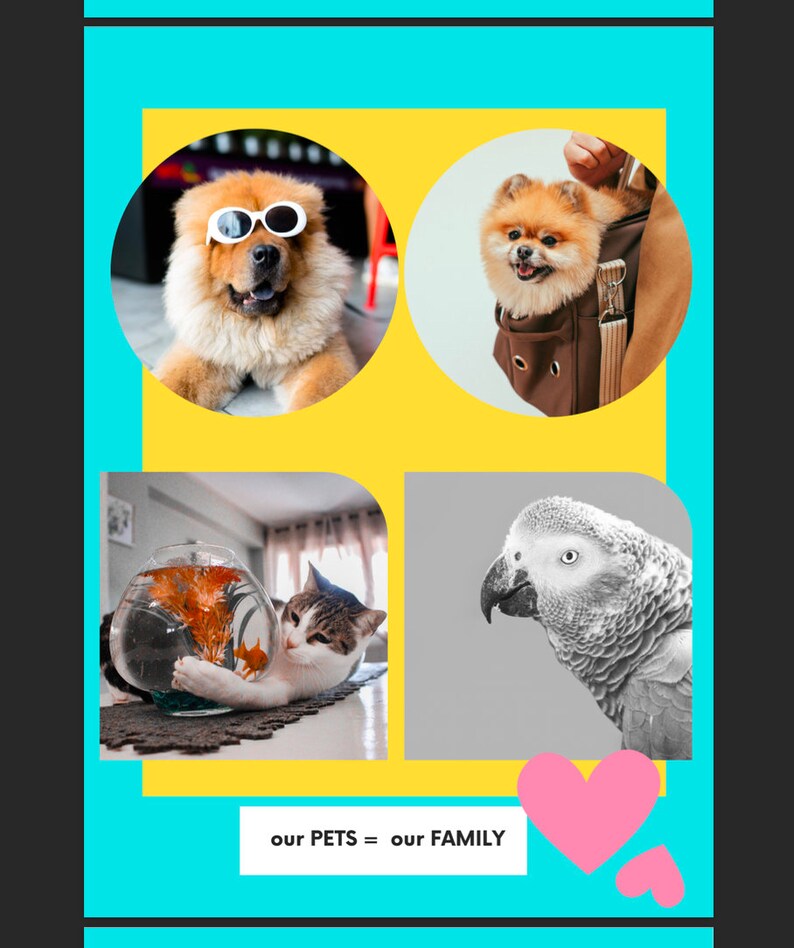 May include: A collage of four images featuring different pets. The top left image shows a brown and white dog wearing white sunglasses. The top right image shows a small orange dog in a brown carrier. The bottom left image shows a cat looking at a fish tank. The bottom right image shows a gray parrot. The text "our PETS = our FAMILY" is at the bottom of the collage.