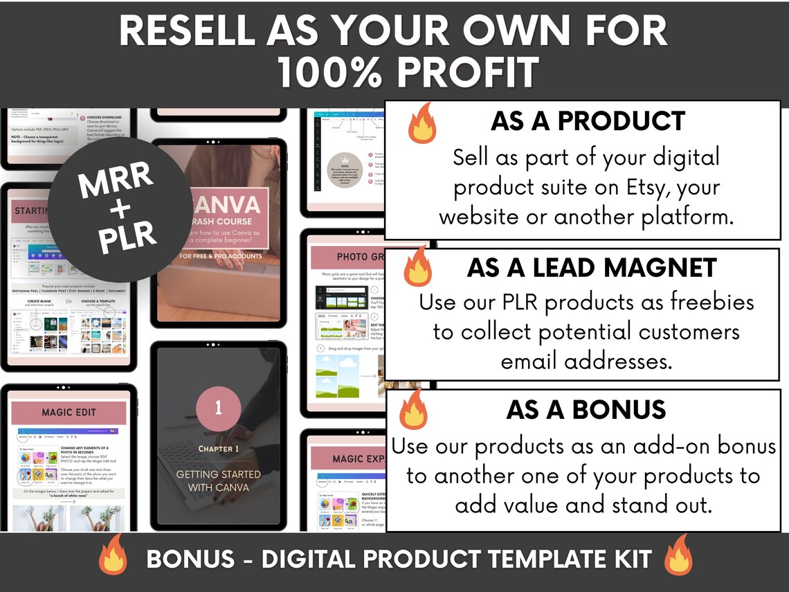 Ultimate Canva Crash Course With Master-resell-rights, DFY Step-by-step ...