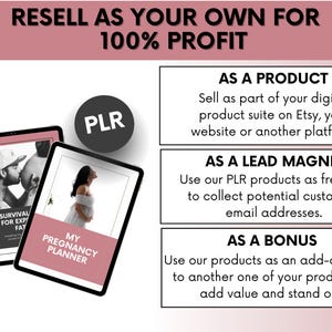 Pregnancy Bundle With MRR and PLR, Pregnancy Planner Canva With Master Resell Rights, DFY Editable Digital Pregnancy Templates Bundle image 6