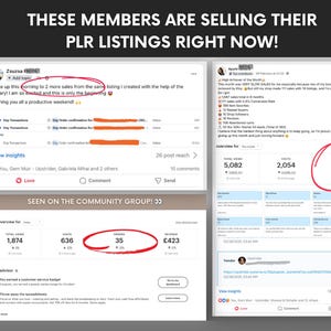 May include: Image showing social media posts with Etsy shop statistics and user comments. The posts display sales figures, including 111 orders and 35 orders, and positive feedback from community members about their PLR listings.