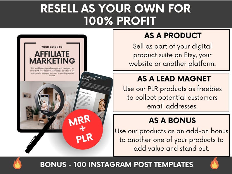 Your Guide to Affiliate Marketing Ebook with PLR & MRR, Affiliate Marketing MRR Guide, Done-For-You Digital Marketing Guide image 5