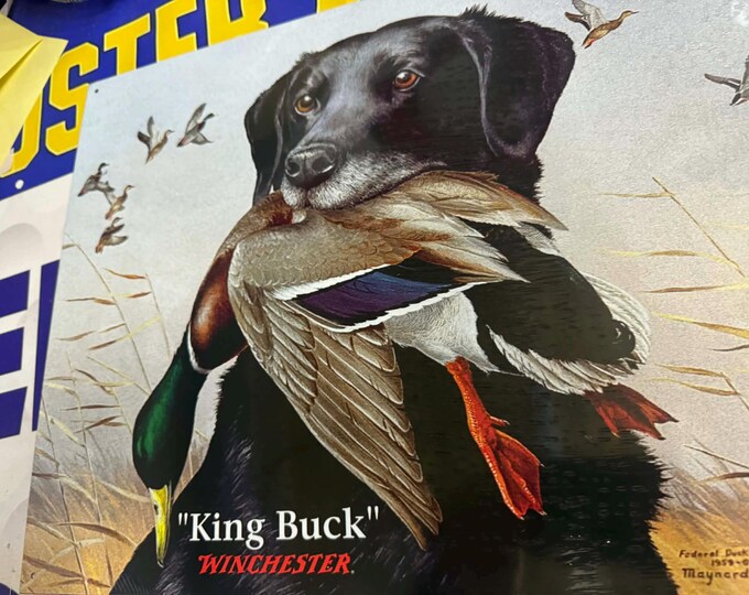 Winchester “King Buck” Tin Sign 16"x12.5" Hunting Dog Duck American Made Decor