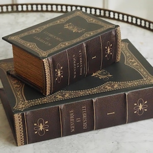 Könnte beinhalten: Zwei dunkelbraune, dekorative Boxen in Form antiker Bücher mit lederartiger Textur. Die Buchrücken und Einbände sind mit goldenen Ornamenten verziert und tragen den Schriftzug "SCIENTIFIQUE ET INDUSTRIELLE" sowie die römische Ziffer "I".
