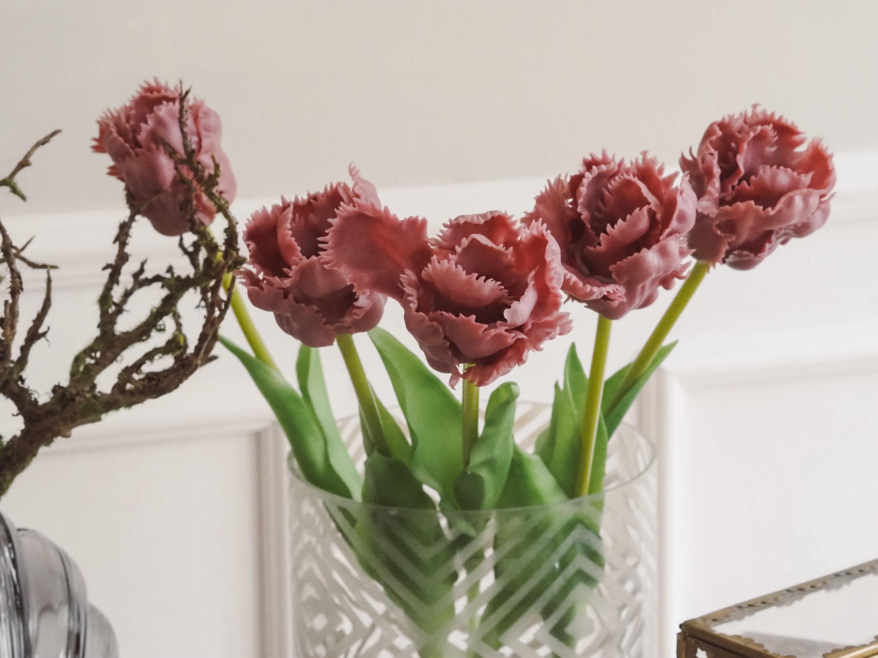 Papagei tulpen - Etsy.de