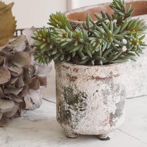 Könnte beinhalten: Ein kleiner, verwitterter, zylindrischer Terrakotta-Topf mit einer Sukkulentenpflanze. Der Topf hat ein abgenutztes, gealtertes Aussehen mit weißen und grünen Akzenten. Die Sukkulente hat grüne, nadelförmige Blätter. Eine getrocknete Blume und ein größerer Topf sind im Hintergrund.
