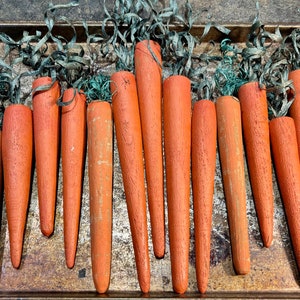 Wooden Carrots Bundle image 8