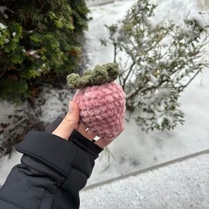 Crochet Plush Strawberry