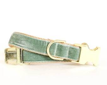 velvet dog collar etsy یقه سبز