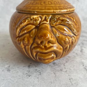 May include: A brown ceramic jar with a lid, featuring a face-like design on the front. The lid is inscribed with the words "PICKLED ONIONS". The jar has a bulbous shape and is likely used for storing food items.