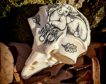 Faux Owl Skull with Hand-drawn Squirrel & Oak Leaves Art