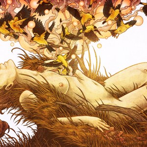 May include: A woman with long, flowing red hair lies in a field of tall grass. She is surrounded by a flock of yellow birds flying overhead. The birds are depicted in a stylized, almost cartoonish manner.