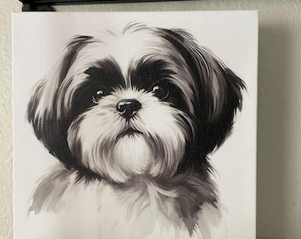 Può includere: Illustrazione in bianco e nero di un cane Shih Tzu con un viso soffice e grandi occhi. Il cane sta guardando direttamente lo spettatore.