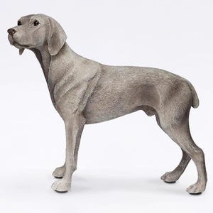 Może przedstawiać: Szara, realistycznie wyglądająca figurka psa rasy weimaraner. Figurka stoi z głową zwróconą w lewo, a ogonem zwiniętym w prawo. Figurka wykonana jest z trwałego materiału i idealnie nadaje się do każdego domu miłośnika psów.