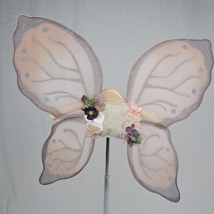 Fantasy Fairy Wings: Intricate Detailing, Vibrant Colors