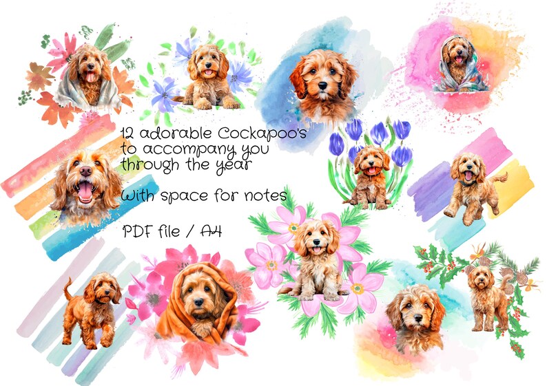 Adorable Cockapoo Annual Calendar 2025 With 12 Doodle Motifs in A4 for ...