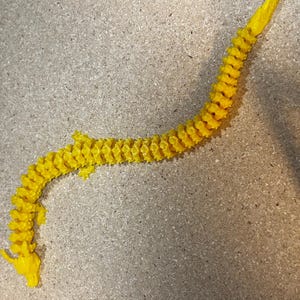 3D Printed Flexible Dragon Toy: Articulated Fantasy Decor