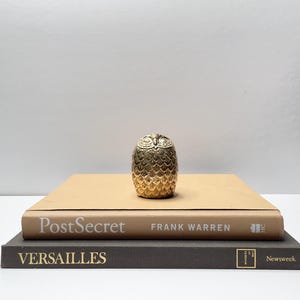 Peut inclure: Une figurine de hibou dorée avec des détails texturés est posée sur deux livres. Le livre supérieur est beige et porte l'inscription "PostSecret" de Frank Warren. Le livre inférieur est gris foncé et porte l'inscription "VERSAILLES".