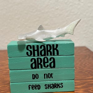 May include: A stack of four teal wooden blocks with black text that reads SHARK AREA DO NOT FEED SHARKS. A silver hammerhead shark figurine is positioned on top of the blocks. The blocks are rectangular and arranged in a vertical column.