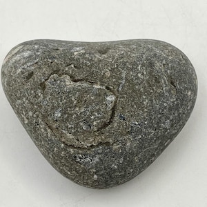 May include: A smooth, heart-shaped gray stone with a textured surface. The stone has a mix of light and dark gray tones, with a lighter area in the center. The stone is likely a natural item, possibly a decorative piece.