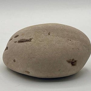 Lake Erie Beach Stone — Smooth Rounded Shoreline Find