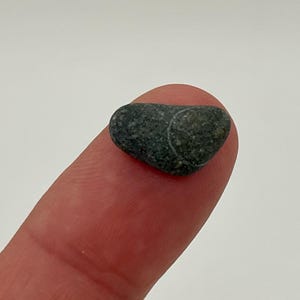 May include: A small, dark green stone with a rounded shape and a lighter-colored marking. The stone is resting on a person's fingertip, against a plain white background. The stone appears to be a natural, possibly polished, rock.