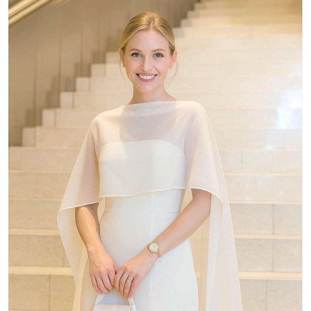 Sheer Chiffon Dress - Etsy