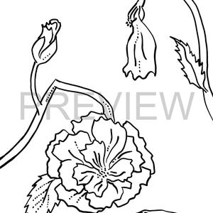 Hand Drawn Flower Coloring Page - Antuque Rose (digital)