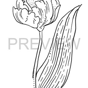 Hand Drawn Flower Coloring Page - Rose Étoilée (digital)