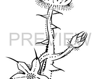 Página para colorear de flores dibujadas a mano: pétalos de cactus