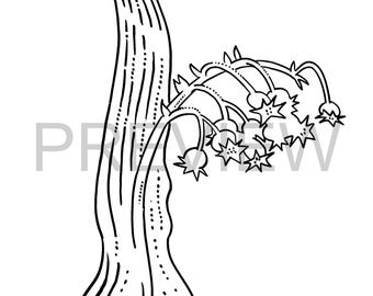 Página para colorear de flores dibujadas a mano: gota de rocío europea