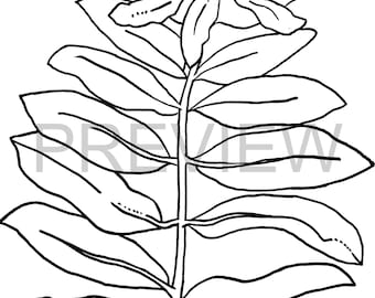 Página para colorear de flores dibujadas a mano - Fleur Moderne (digital)