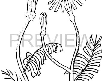 Página para colorear de flores dibujadas a mano: Daisy Chic (digital)