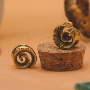 Swirl Ohr Gauge mit Muster Gauge & Plug Ohrringe Sattel Plugs Gauges für gestreckte Ohren Spirale Ohr Gauges Plug und Tunnel Schmuck