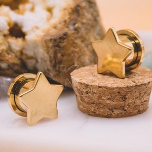 Star Gauges for Stretched Ears Star Shape Ear Tunnel Plug Earrings Screw Back Ear Gauges Unique Star Gauges