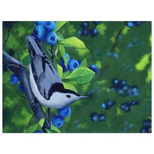 Kleiber & Blaubeeren Wandkunst - Premium Matte Poster Print - Gouache Malerei
