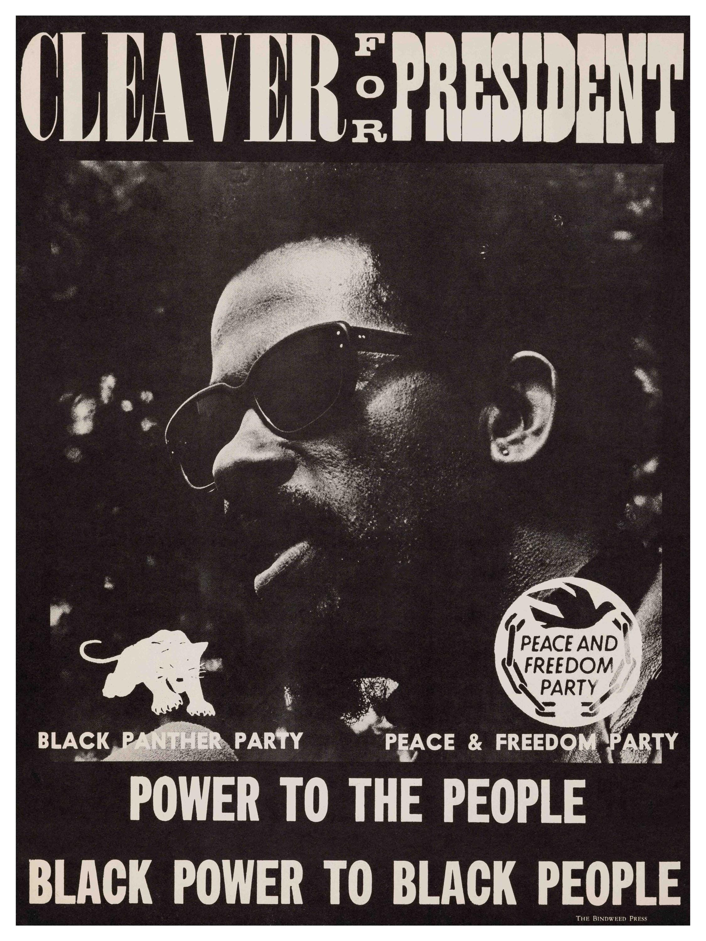 Civil Rights Posters 1950s