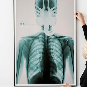 Xenomorph Alien Poster – Alternative Sci-Fi Horror Print PRINTABLE DOWNLOAD