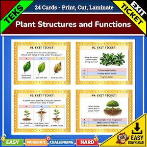 Peut inclure: Un ensemble de 24 cartes éducatives intitulées Plant Structures and Functions, présentant quatre tickets de sortie avec des questions à choix multiples sur la biologie végétale, incluant des illustrations de feuilles, racines et arbres avec du texte.