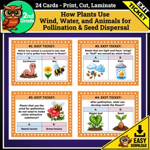 Peut inclure: Un ensemble de 24 cartes de sortie éducatives pour le niveau CE1, portant sur la pollinisation et la dispersion des graines. Les cartes présentent des illustrations de ver de terre, d'abeille, de vent, de pluie et de fleurs avec du texte.