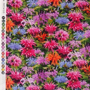 Tela con estampado floral de amapolas, color rojo, de algodón para patchwork, Timeless Treasures, cortada a medida, cortes continuos. Bee Balm