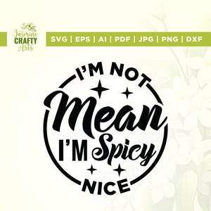 Non sono cattivo, sono piccante, carino Svg, divertente per adulti Svg, Cricut, sublimazione, sarcastico Svg, citazione divertente Svg, sarcasmo Svg, trendy Png