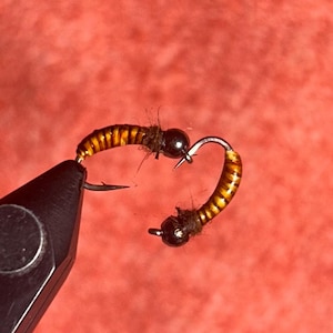 Grubby Caddis