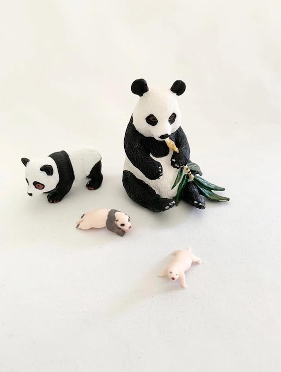 Panda Life Cycle - Montessori Materials - Nature Discovery - France